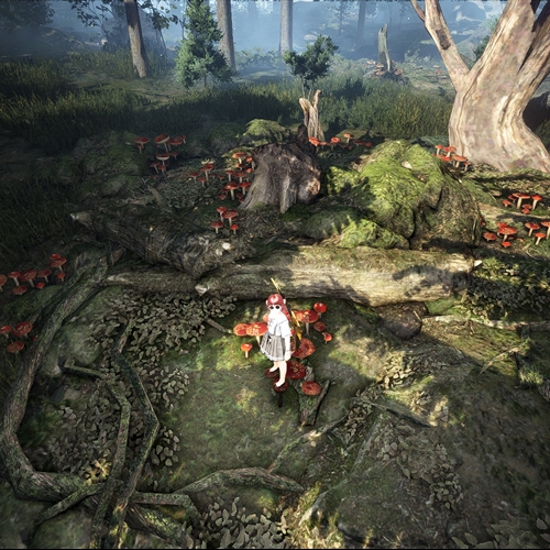 scs_1_24062412314461490_thumb
