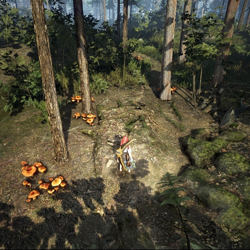 scs_1_24062412332353374_thumb