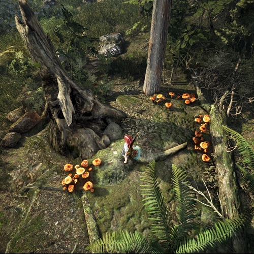 scs_1_24062412350483185_thumb